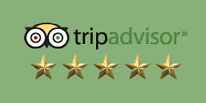 5-star-rated-trip-advisor