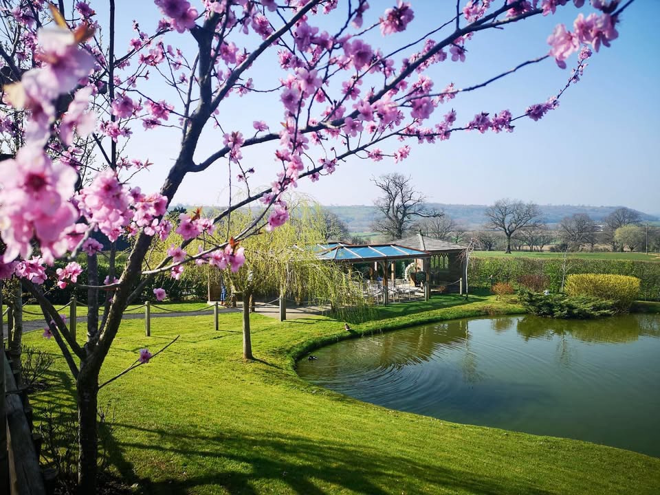 Scenic venue by tranquil water feature